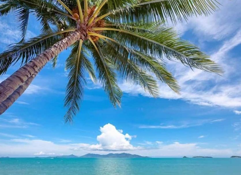 Strand Foto