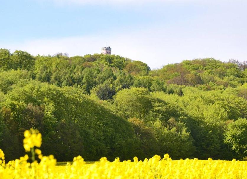 Außenansicht Foto