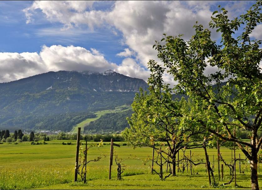 Außenansicht Foto