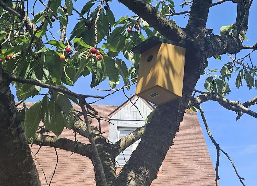 Außenansicht Foto