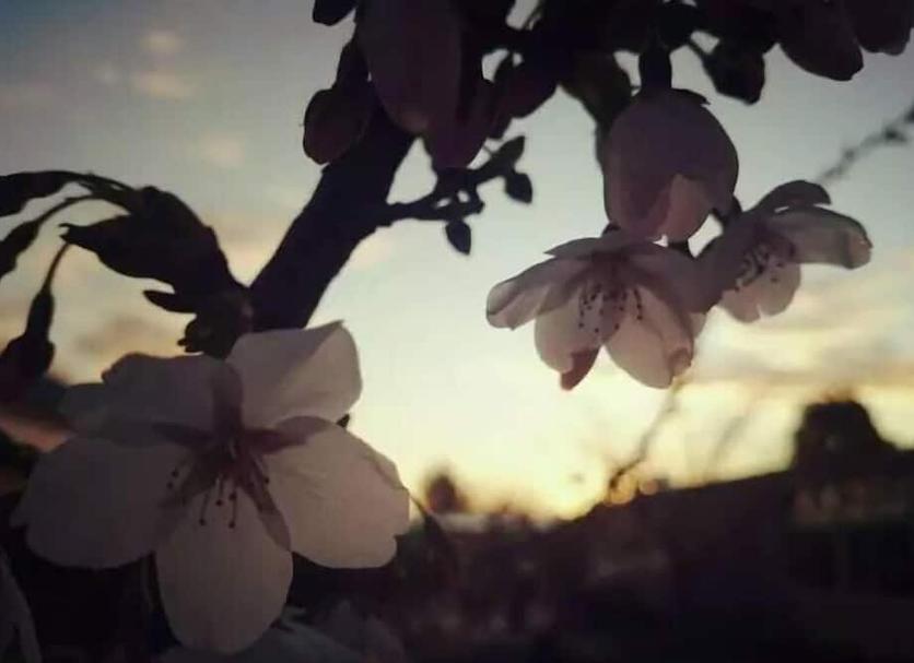 Sonstige Foto