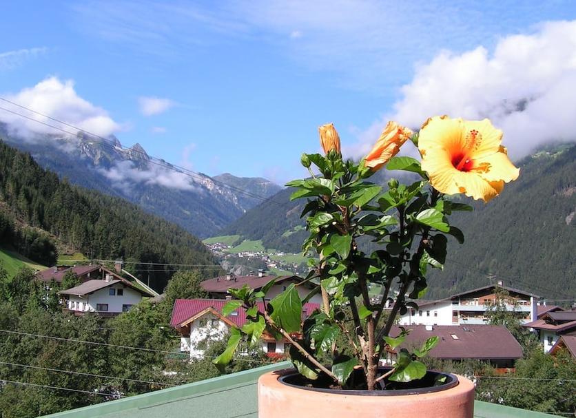 Außenansicht Foto