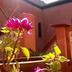 Sonstige