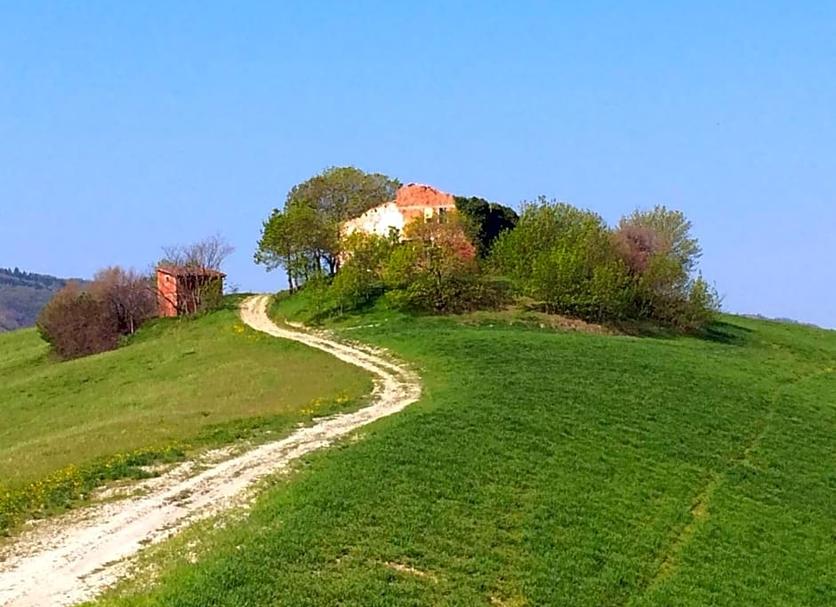 Außenansicht Foto