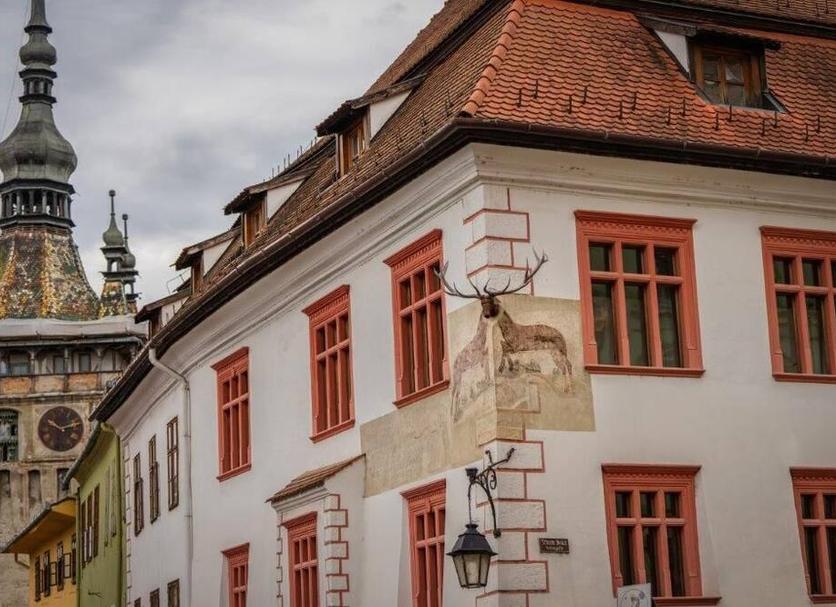 Sonstige Foto