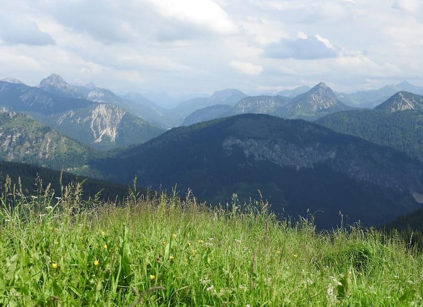 Außenansicht Foto