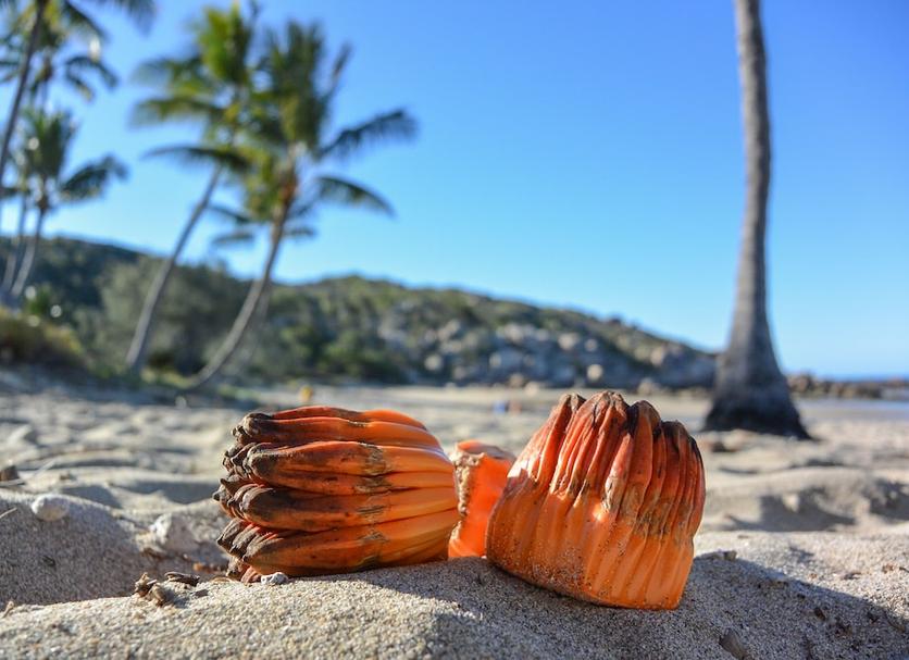 Strand Foto