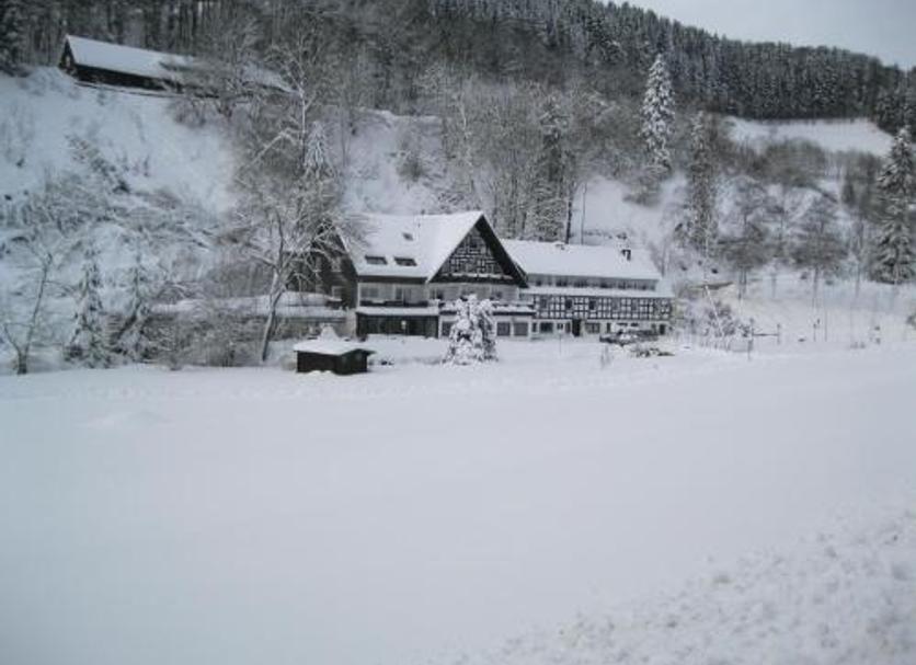 Sonstige Foto