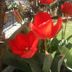 Sonstige