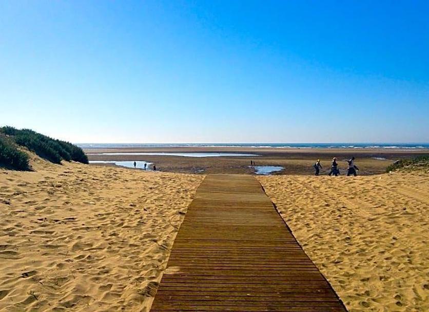 Strand Foto
