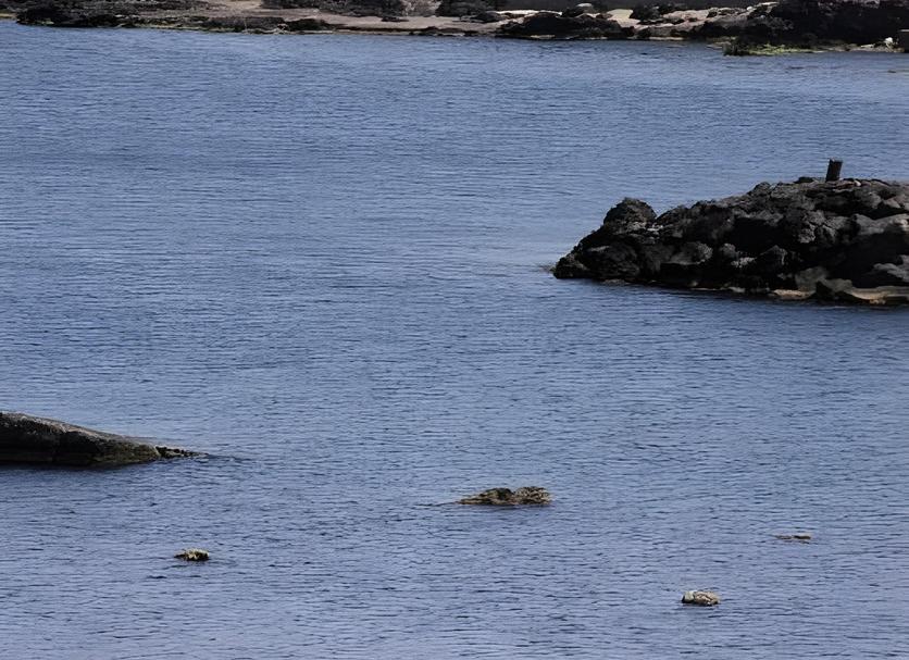 Strand Foto