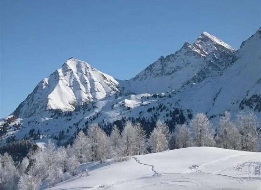 Sonstige Foto