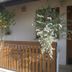 Sonstige