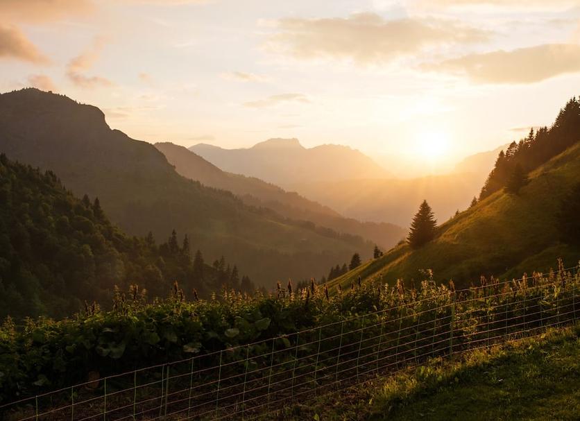Außenansicht Foto