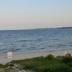 Sonstige