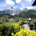 Sonstige