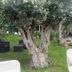 Sonstige