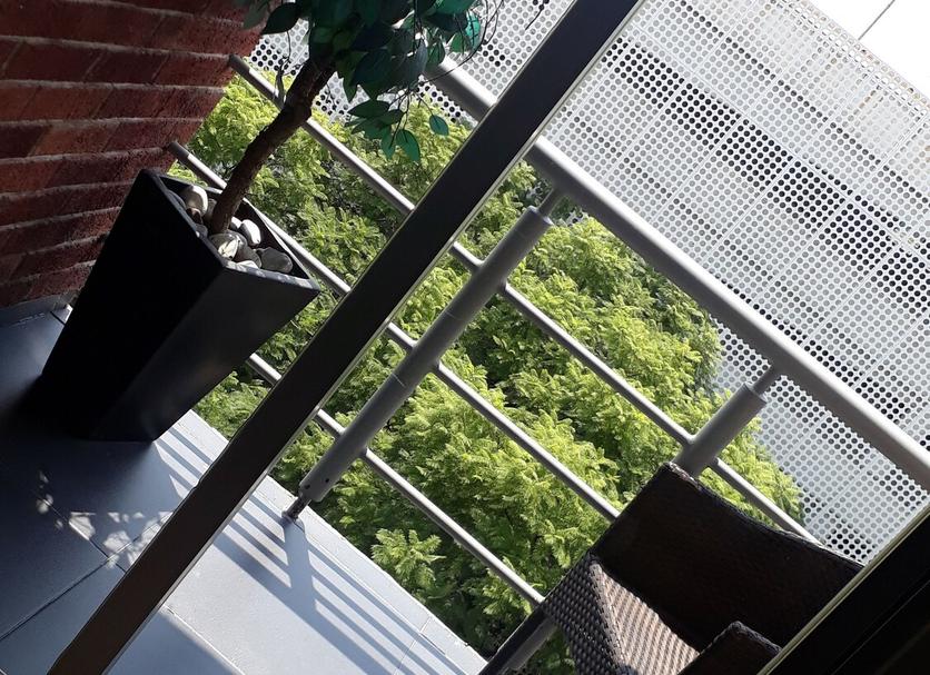 Sonstige Foto