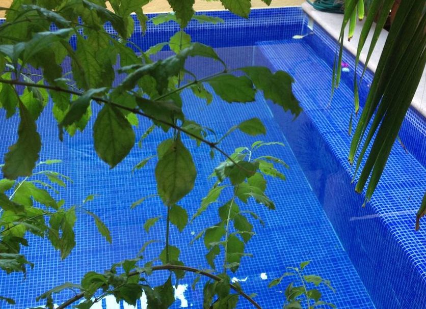Pool Foto