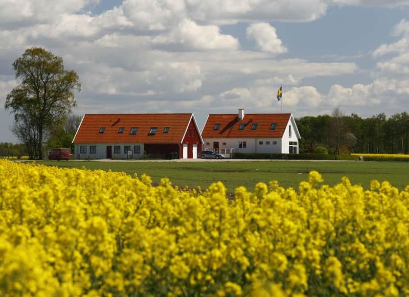 Sonstige Foto