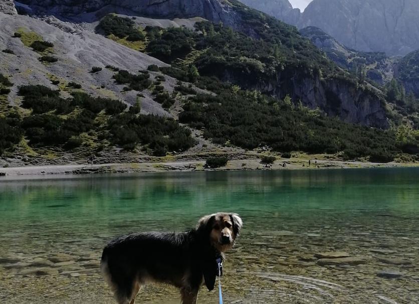 Sonstige Foto