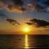 Sonstige