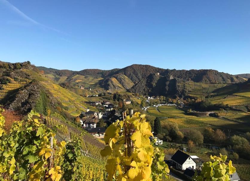 Außenansicht Foto