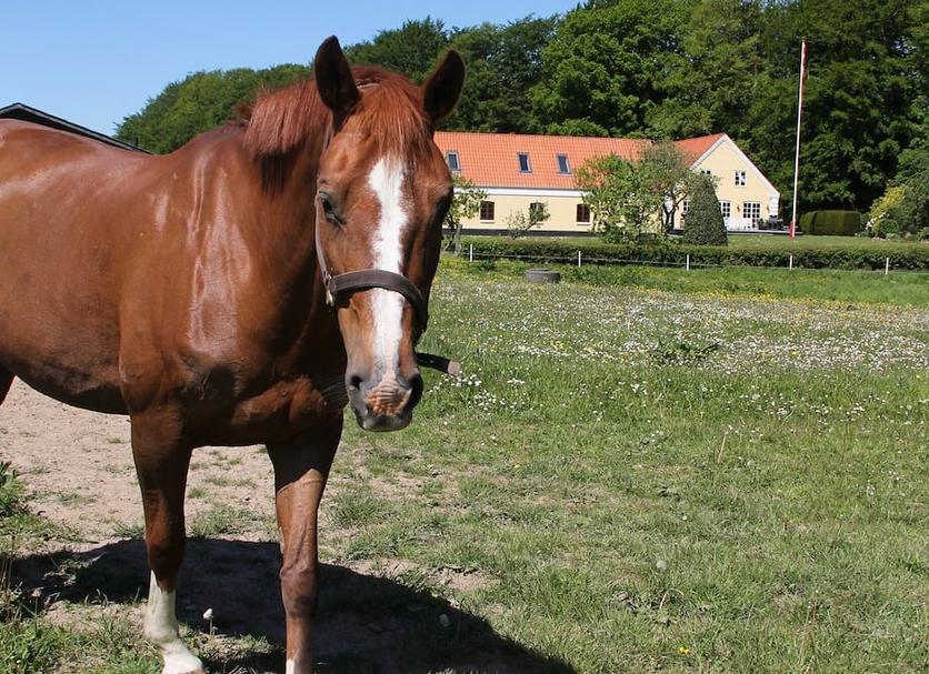 Sonstige Foto