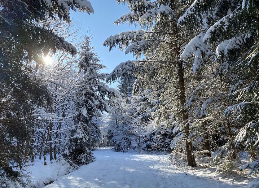Außenansicht Foto