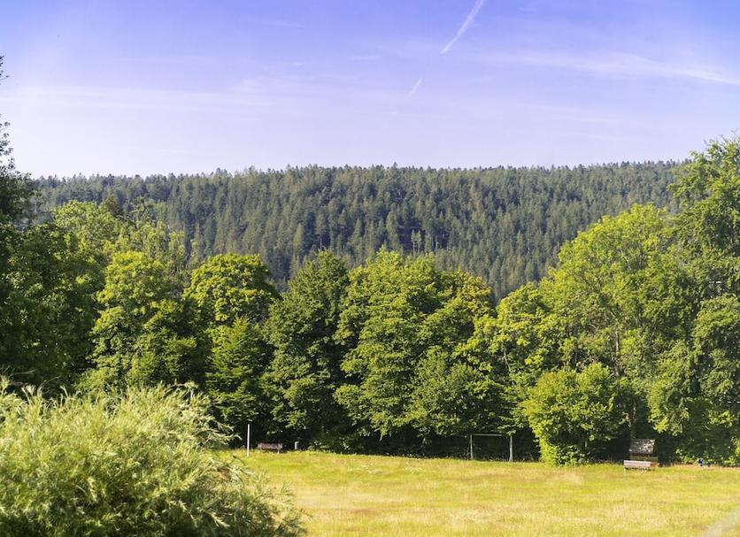 Außenansicht Foto