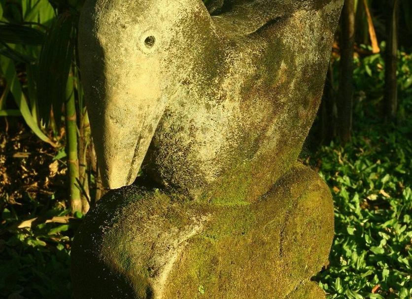 Sonstige Foto