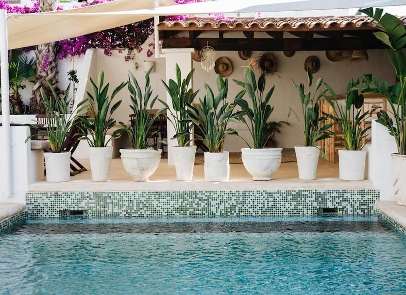 Pool Foto