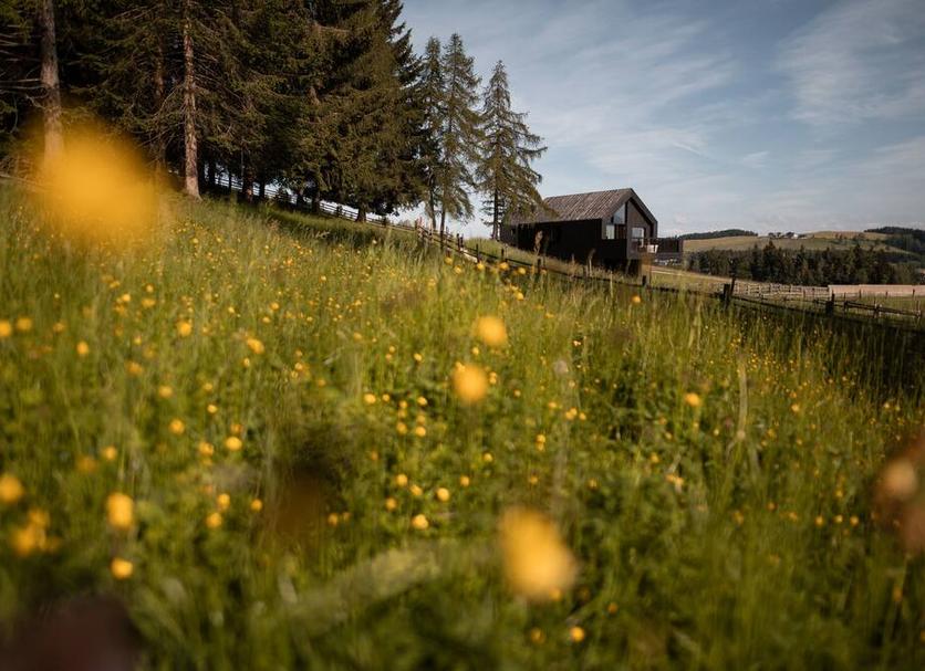Außenansicht Foto