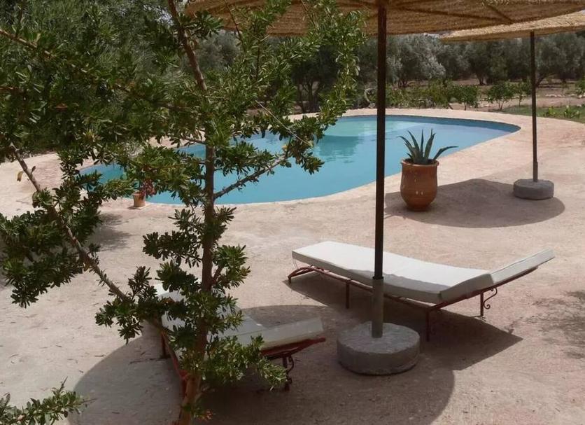 Pool Foto