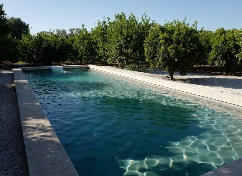 Pool Foto