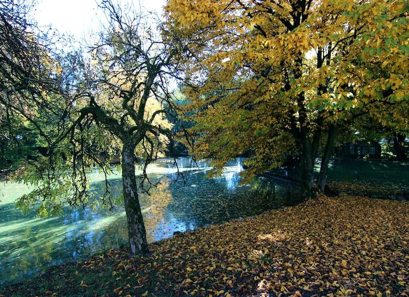 Außenansicht Foto