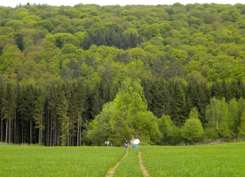 Außenansicht Foto