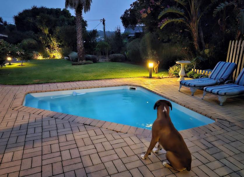 Pool Foto