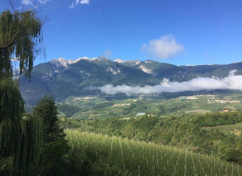 Außenansicht Foto