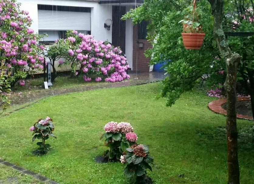 Außenansicht Foto