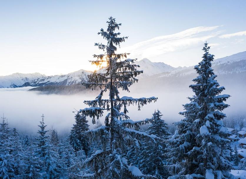Außenansicht Foto