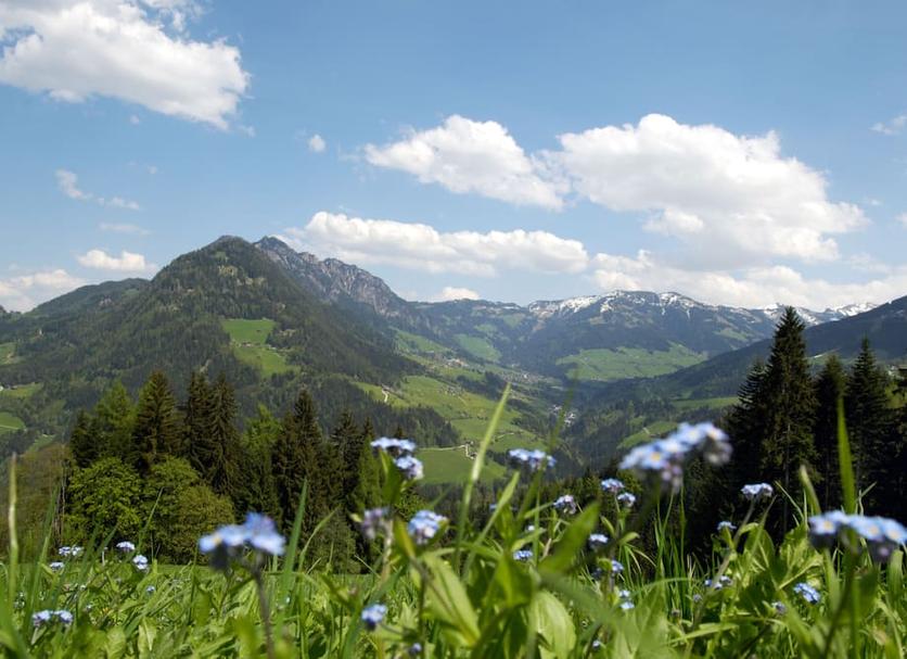 Außenansicht Foto