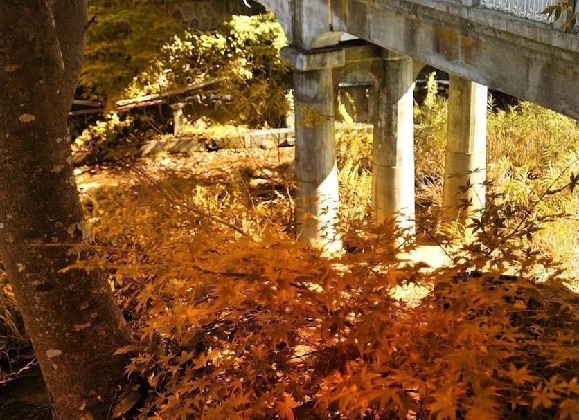 Außenansicht Foto