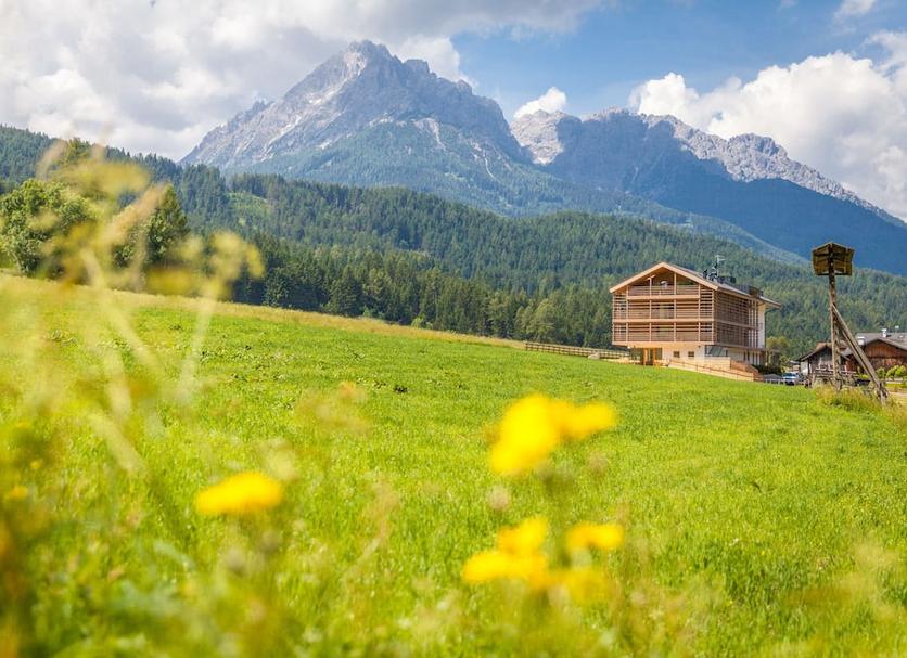 Außenansicht Foto
