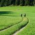 Sonstige