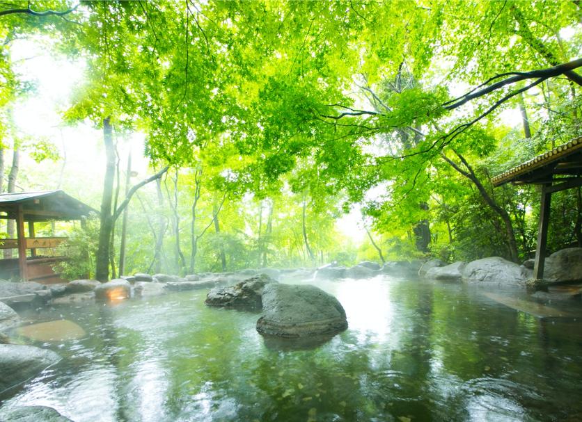 Wellness Foto