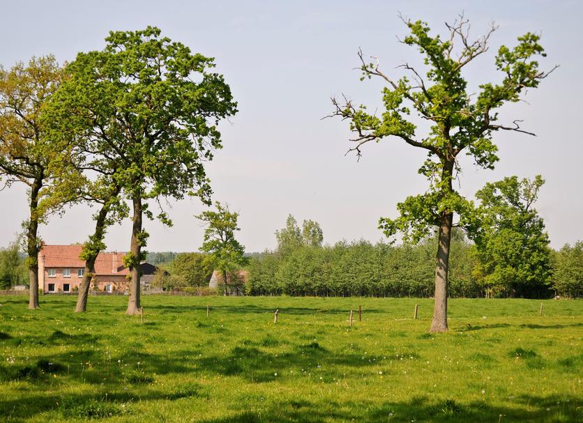 Außenansicht Foto