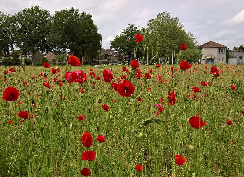 Außenansicht Foto