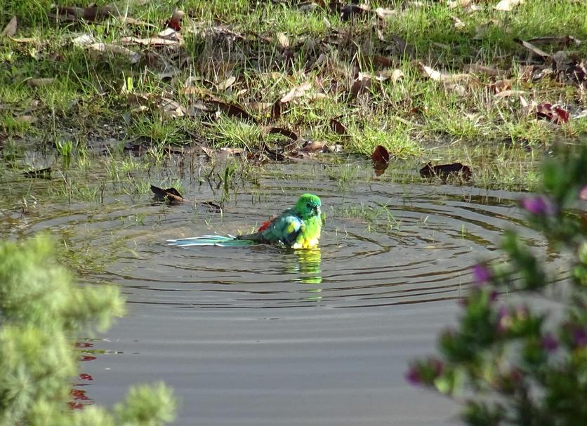 Außenansicht Foto